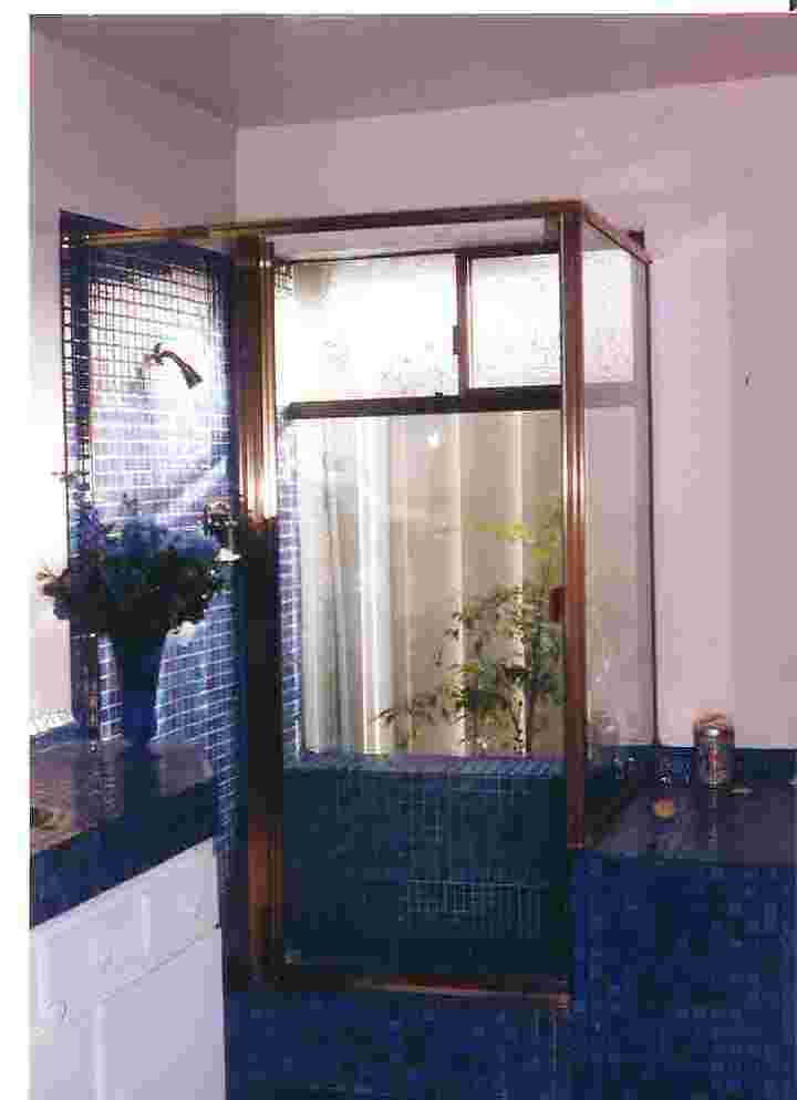 masterbathroomshower.jpg