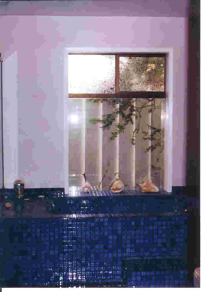 masterbathroomtub.jpg