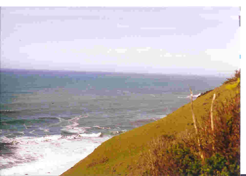 viewnorthfromzenbench.jpg