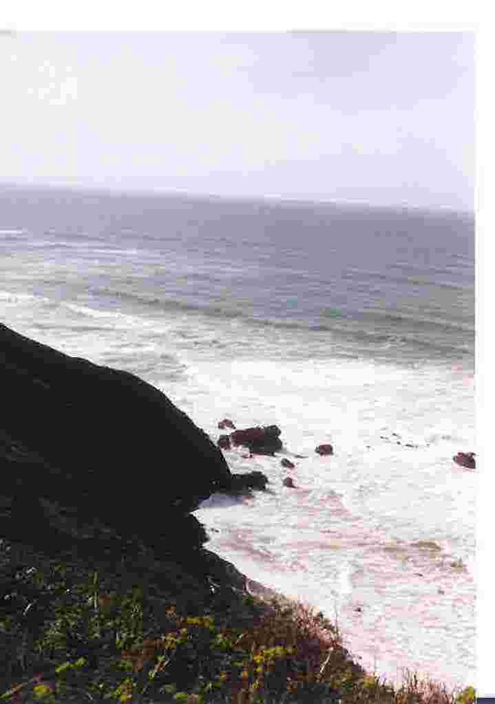 viewsouth1.jpg