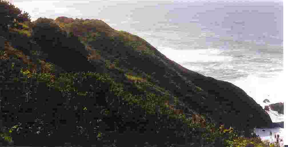 viewsouth2.jpg